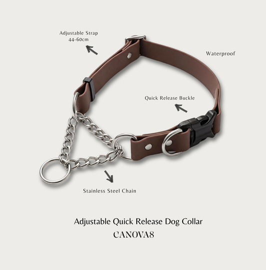 Waterproof Martingale Dog Collar with Quick-Release Buckle
