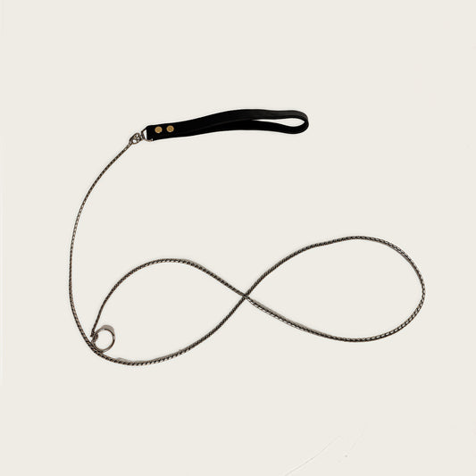 SteelPro™ Training P-Leash — V2