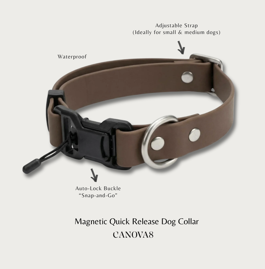 Magnetic Quick-Release Dog Collar