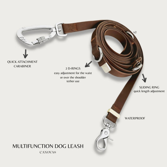 Waterproof Multifunction Hands-Free Dog Leash V1