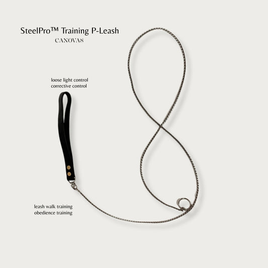 SteelPro™ Training P-Leash — V2
