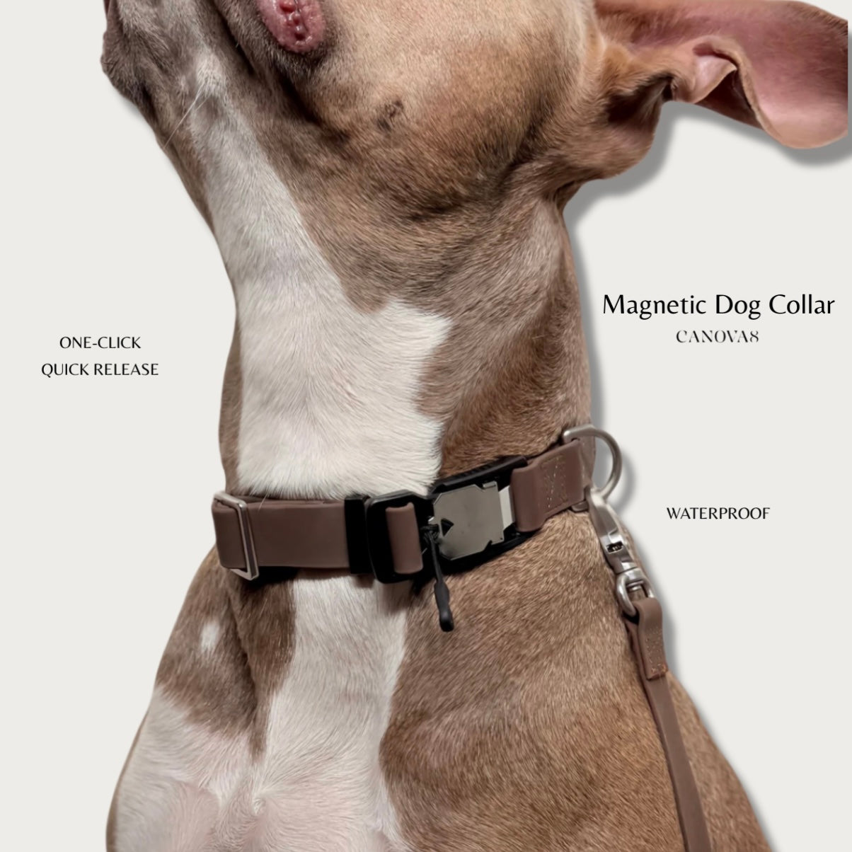 One-Click Magnetic Quick-Release Dog Collar V1