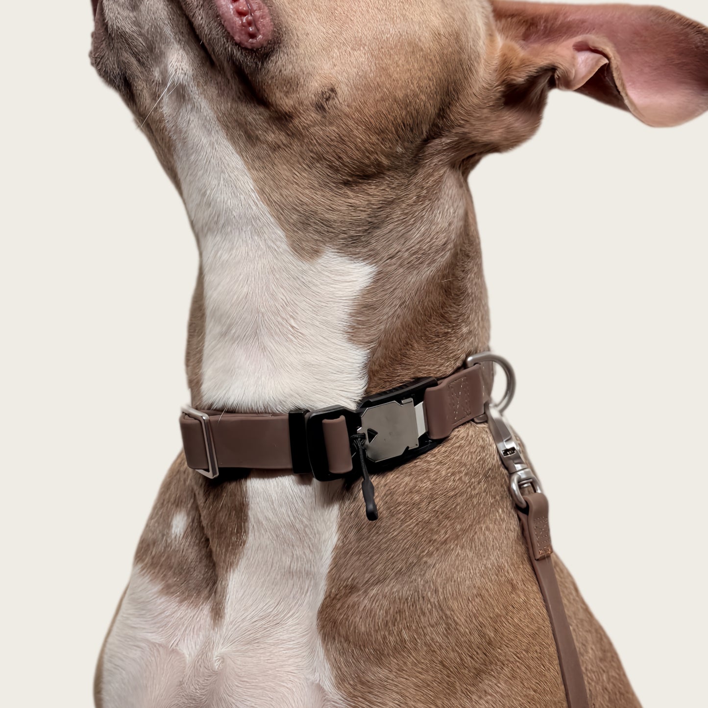 One-Click Magnetic Quick-Release Dog Collar V1
