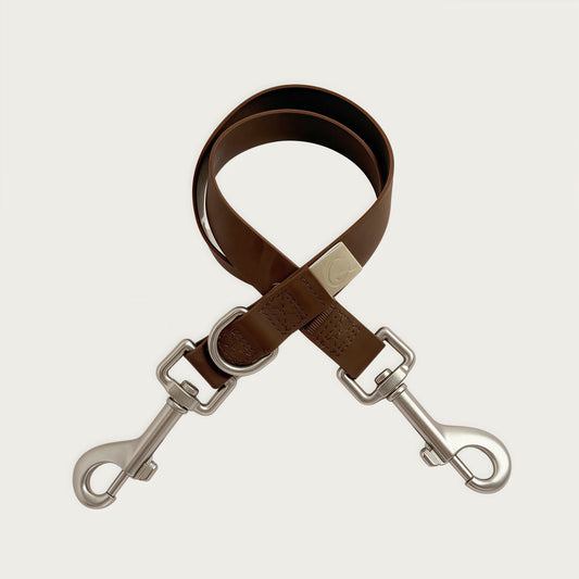 Multi-Dog Extension Leash V1