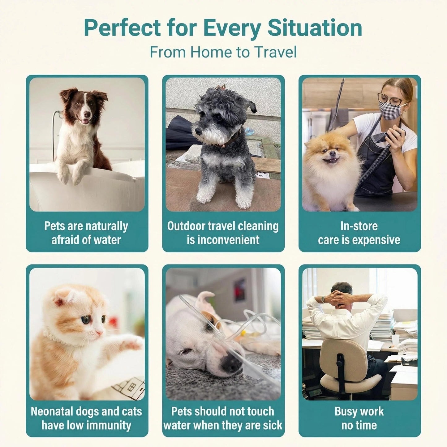 DPQ Pet Cleaning Gloves (Rinse-Free) — Single / 6-Pack