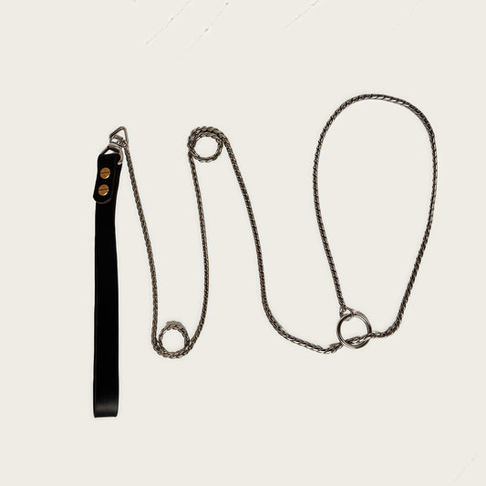 SteelPro™ Training P-Leash — V1